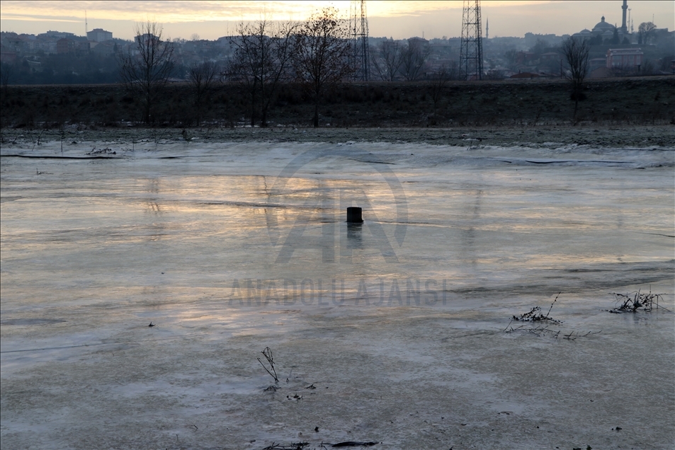 Edirne'de Tunca Nehri kenarındaki tarlalar soğuk nedeniyle buz tuttu