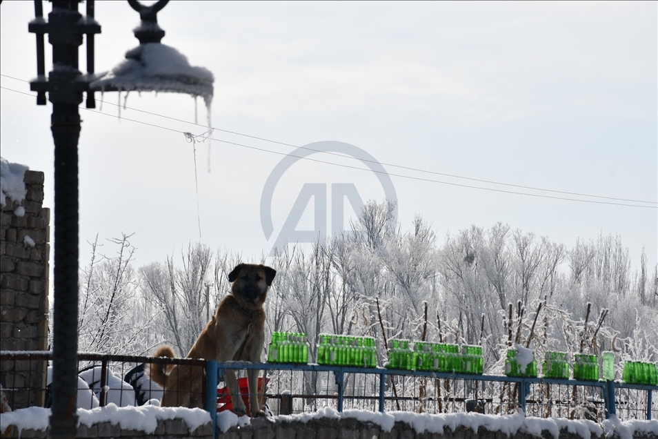 Li Sêwazê rûyê Gola Ulaşê qeşa girt û dîmenên xweş derketin holê