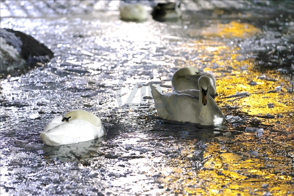 Pond at Kugulu Park freezes during winter in Ankara