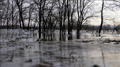 Edirne'de Tunca Nehri kenarındaki tarlalar soğuk nedeniyle buz tuttu