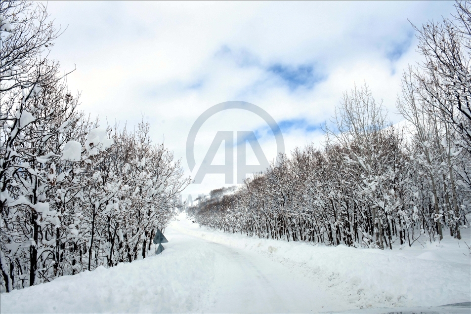 بارش زیبای برف زمستانی در استان موش ترکیه