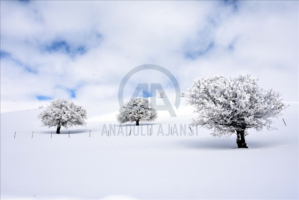 بارش زیبای برف زمستانی در استان موش ترکیه