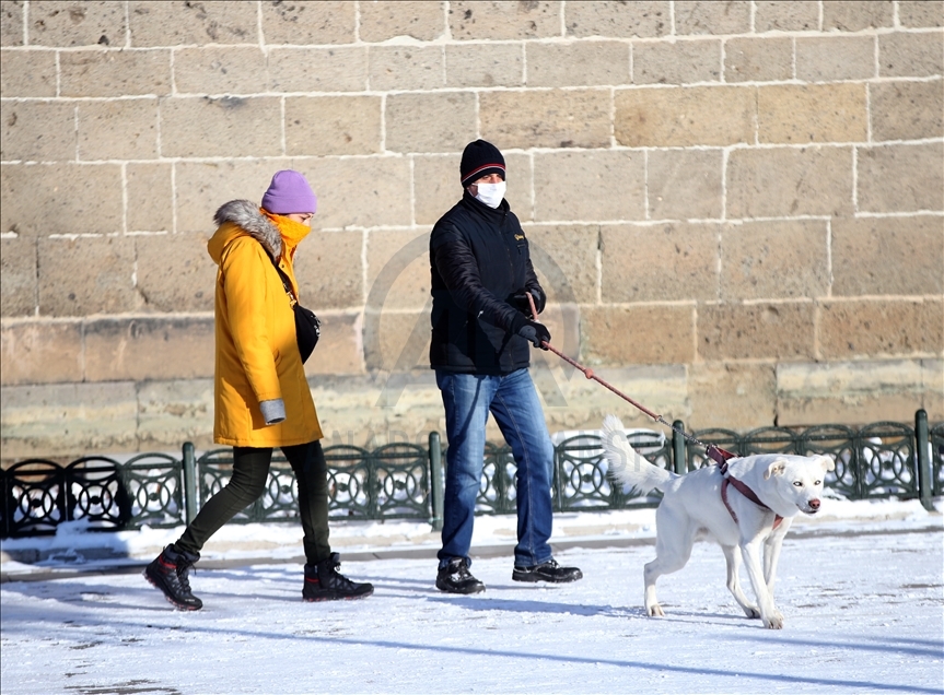 Erzurum'da dondurucu soğuklar yaşamı olumsuz etkiliyor