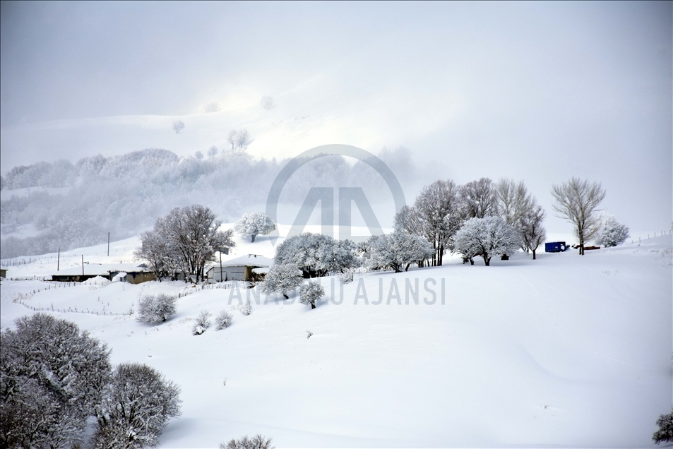 بارش زیبای برف زمستانی در استان موش ترکیه