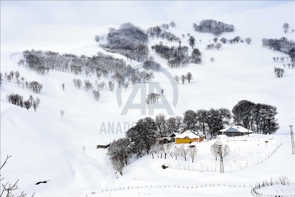 Winter in Turkey's Mus