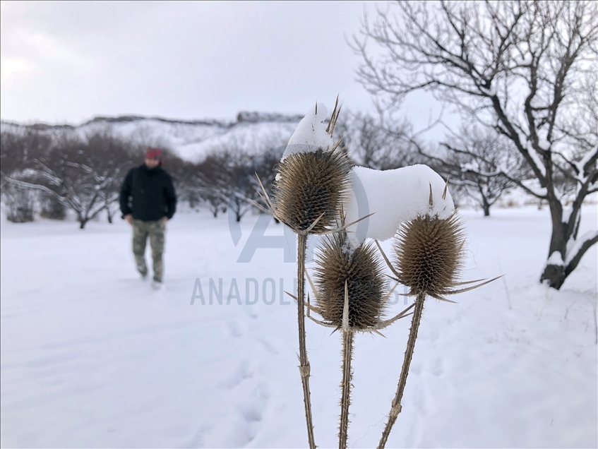 زیبایی‌های زمستان در ایغدیر ترکیه 