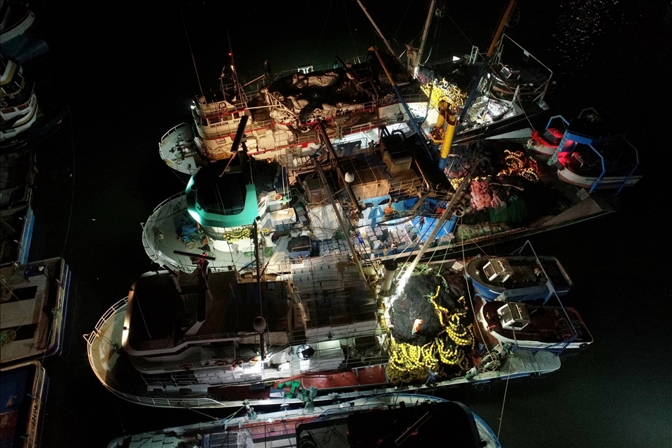 Yasaklı alan dışında kalan İğneada'da 250 tekne hamsi peşinde