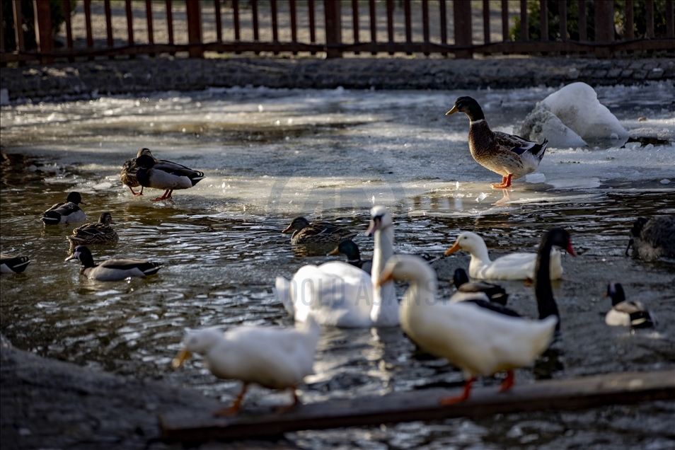 Views of frozen Kugulu Park