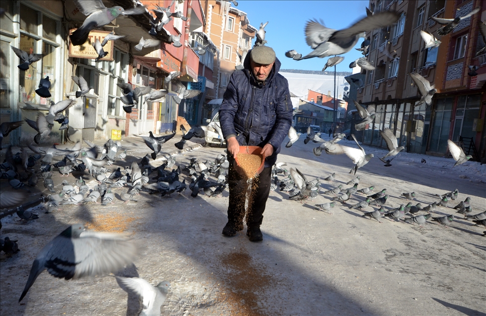 Doğu Anadolu'da dondurucu soğuklar hayatı olumsuz etkiledi