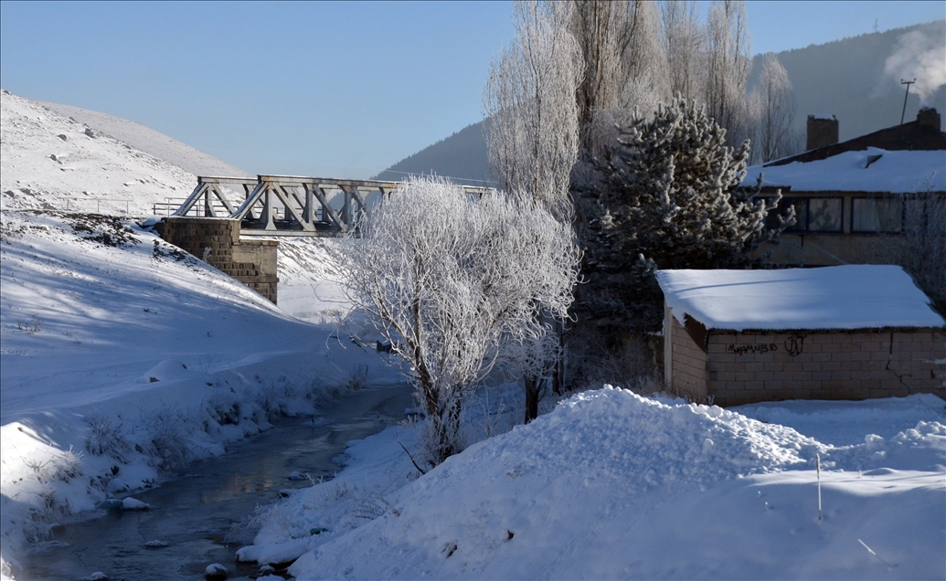 Doğu Anadolu'da dondurucu soğuklar hayatı olumsuz etkiledi