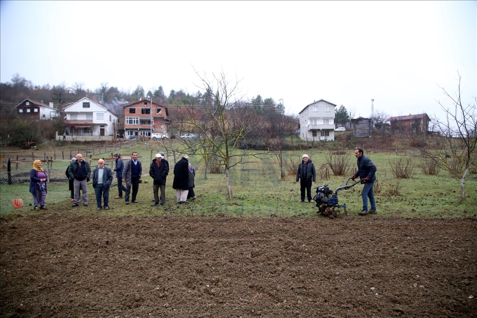 Kastamonu'da yıllardır atıl kalan tarlalar yaban hayvanları için ekildi