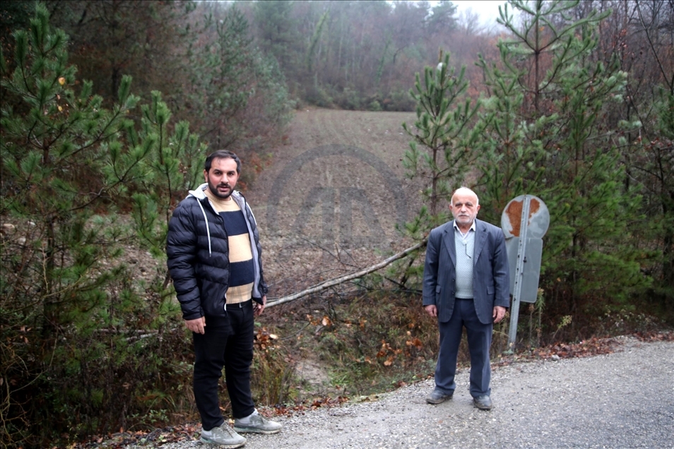 Kastamonu'da yıllardır atıl kalan tarlalar yaban hayvanları için ekildi