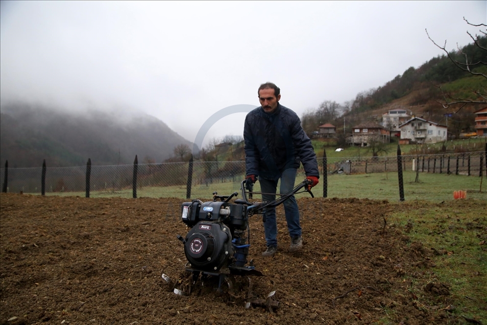Kastamonu'da yıllardır atıl kalan tarlalar yaban hayvanları için ekildi