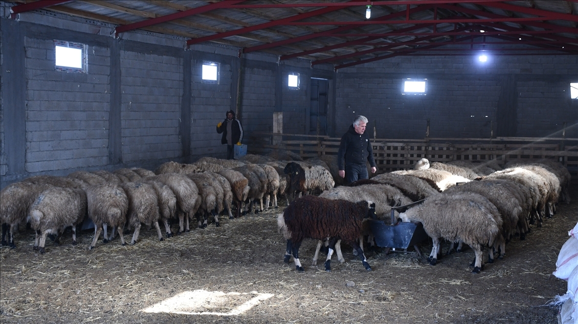 Hayvancılık tutkusu 50 yıl sonra köye dönüş yaptırdı