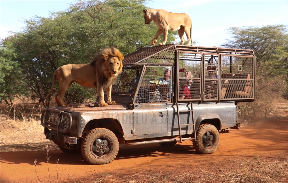 Visita al parque natural de Dakar, Senegal