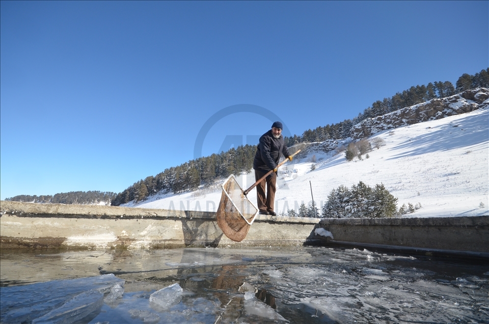 Kars'ta dondurucu soğuklar nedeniyle üretim tesislerindeki balık havuzları buz tuttu