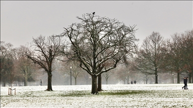 Hyde Park after snowfall in London