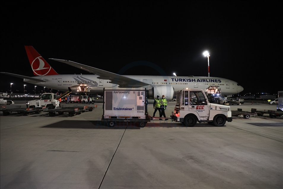 Second batch of COVID-19 vaccines arrives in Turkey