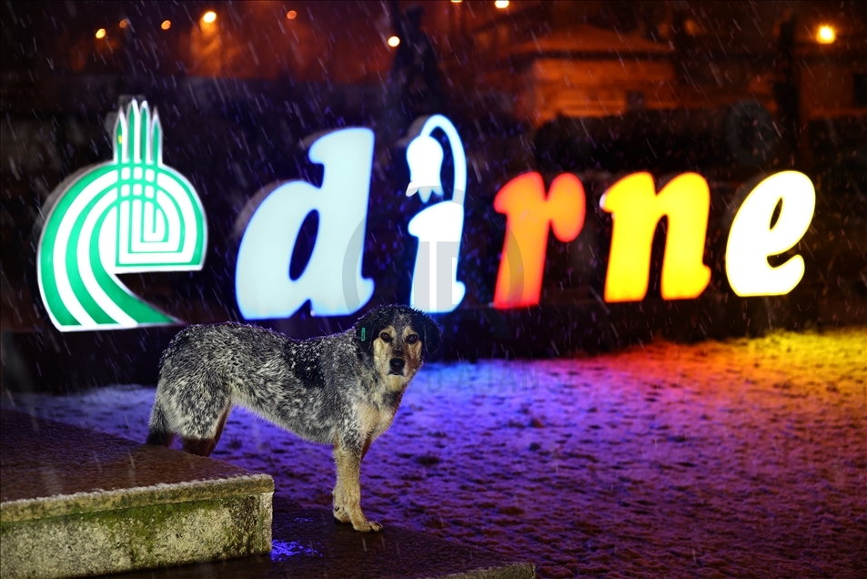 Edirne'de kar yağışı başladı