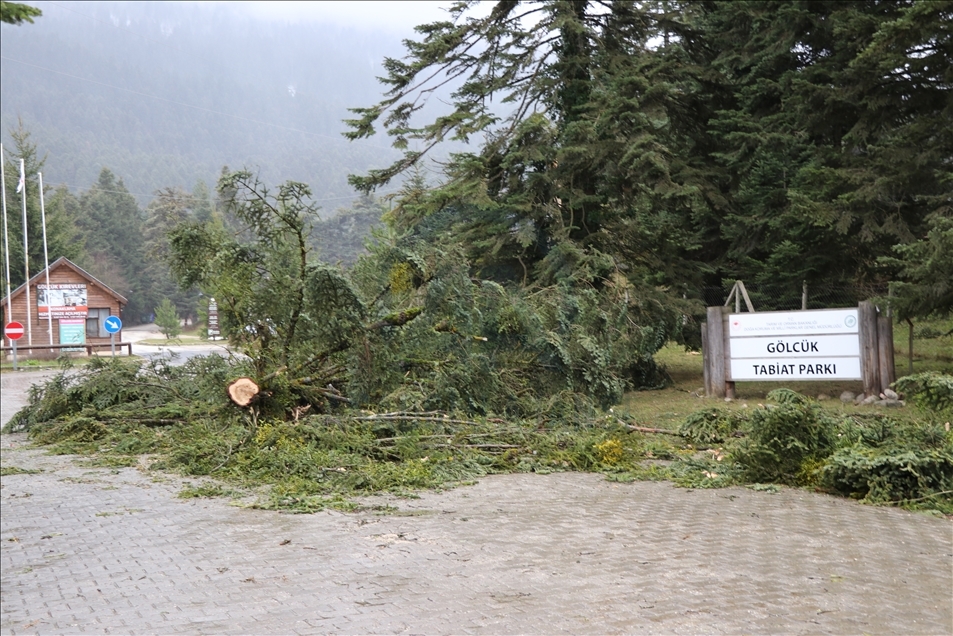 Bolu'da fırtınada çatılar uçtu, ağaçlar devrildi