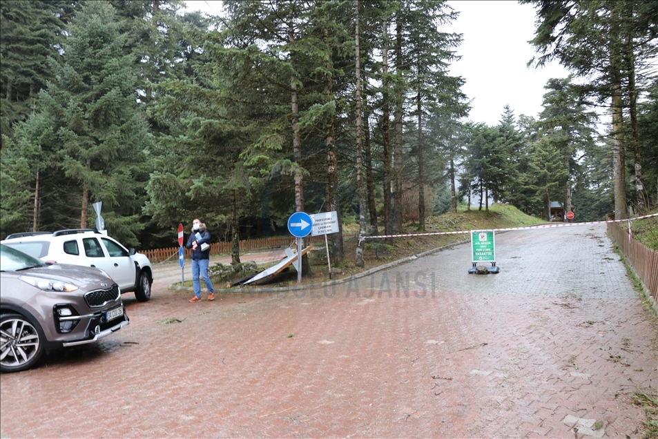 Bolu'da fırtınada çatılar uçtu, ağaçlar devrildi
