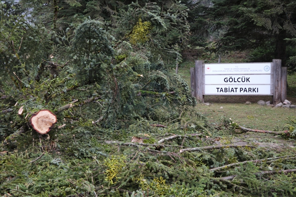 Bolu'da fırtınada çatılar uçtu, ağaçlar devrildi