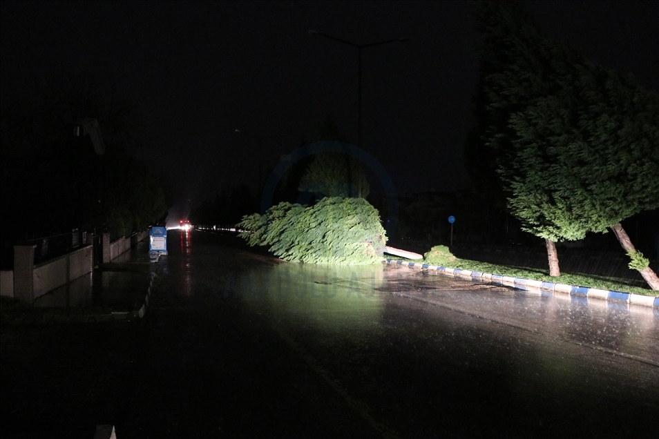 Manisa'da fırtınada çatılar uçtu, ağaçlar devrildi