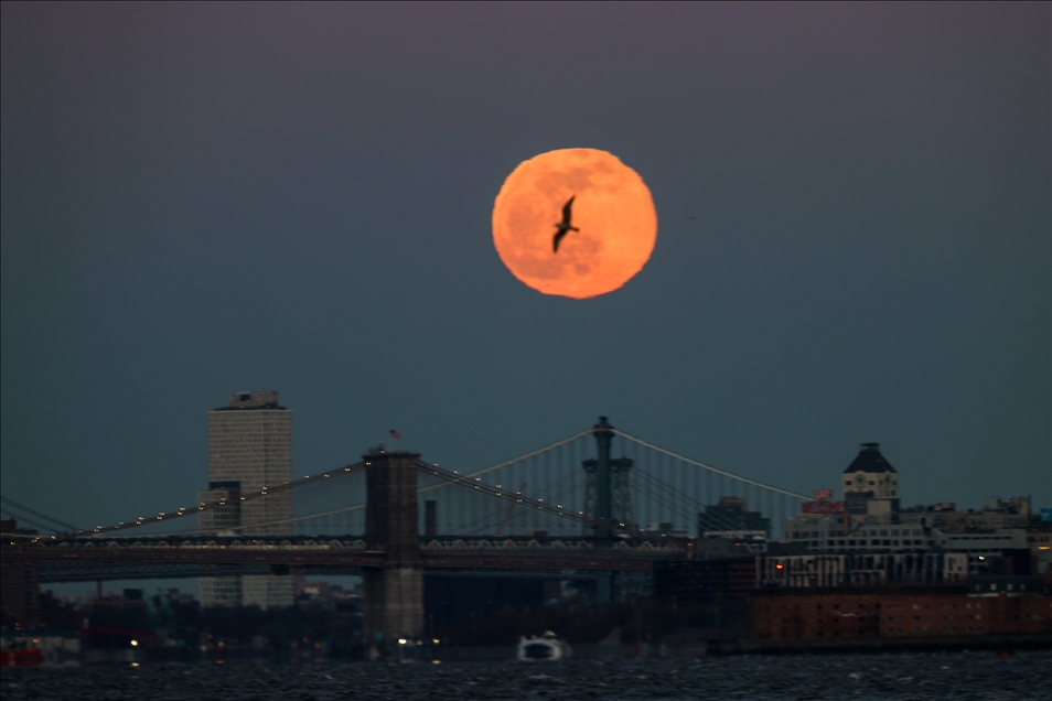 New York'ta yılın ilk dolunayı