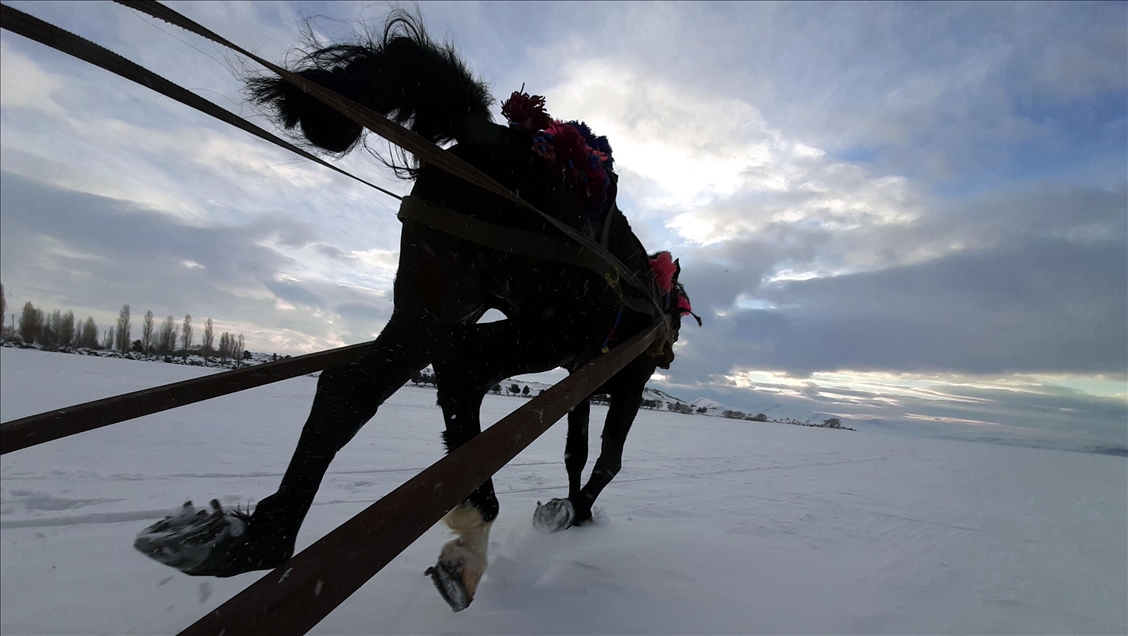 Sleigh and drift pleasure on ice-covered Lake Cildir