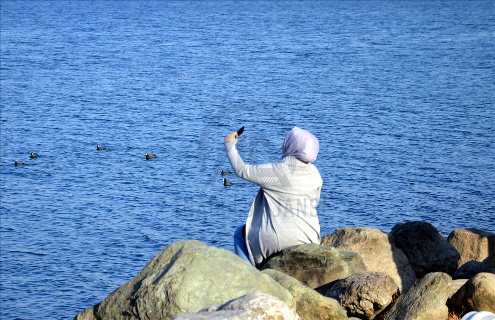 Kısıtlamadan muaf olan turistler Sapanca'da güzel havanın tadını çıkardı