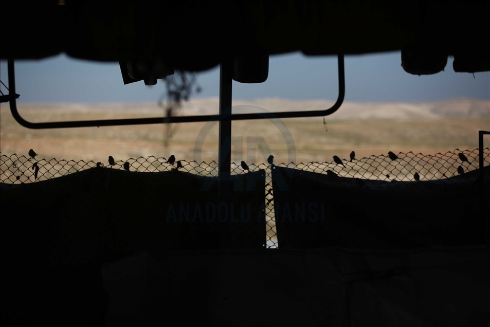 الضفة الفلسطينية.. النساء يفقدن "الأجنّة" ويلدن على "التراكتور"