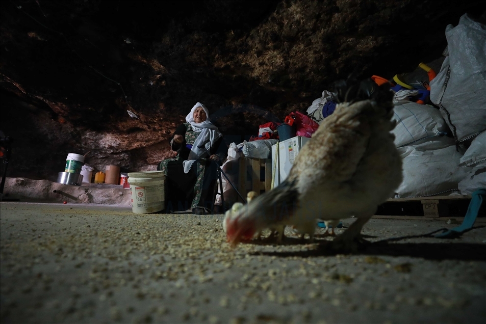 الضفة الفلسطينية.. النساء يفقدن "الأجنّة" ويلدن على "التراكتور"