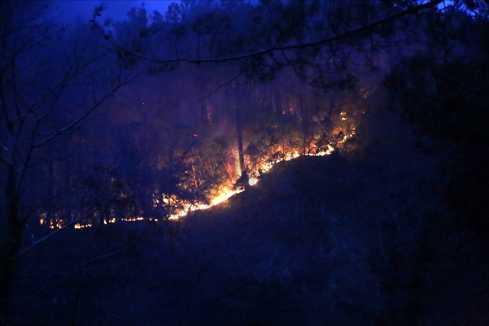Kastamonu'da orman yangını mahalleye sıçradı