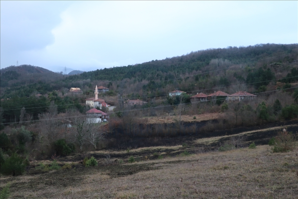 Kastamonu'da ormanlık alan ve mahallede etkili olan yangına müdahale ediliyor
