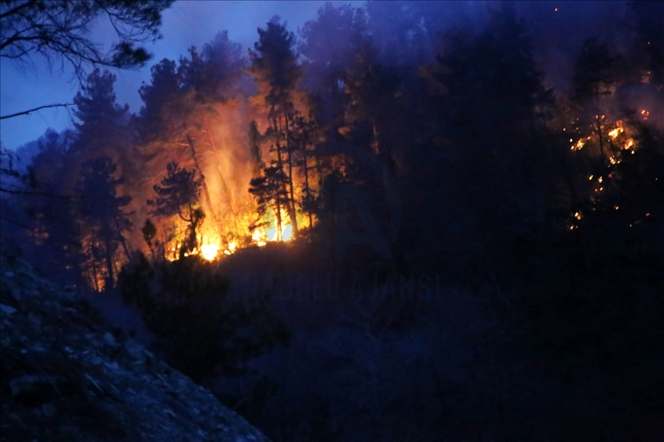 Kastamonu'da orman yangını mahalleye sıçradı