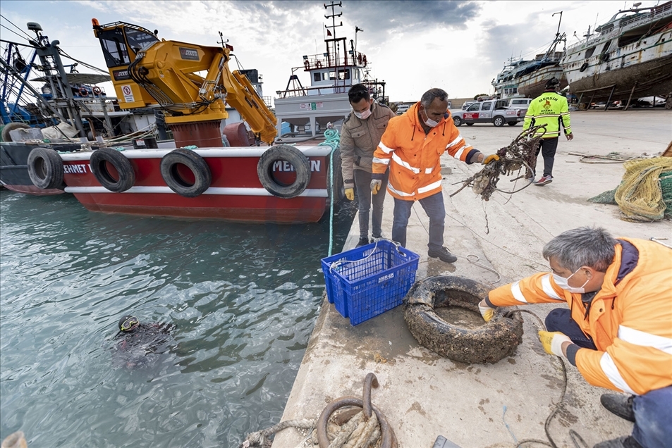Mersin'de deniz dibi temizliği sırasında telef olmuş köpek balığı yavrusu bulundu