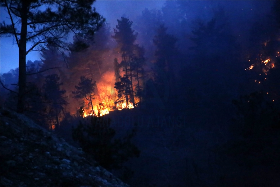 Kastamonu'da orman yangını mahalleye sıçradı