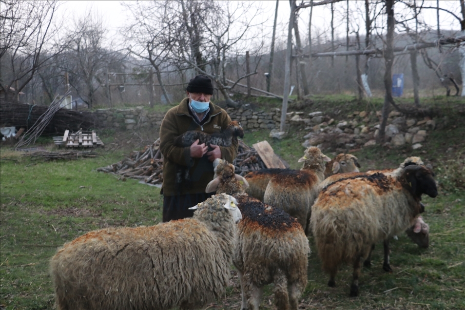 Kastamonu'da ormanlık alan ve mahallede etkili olan yangına müdahale ediliyor