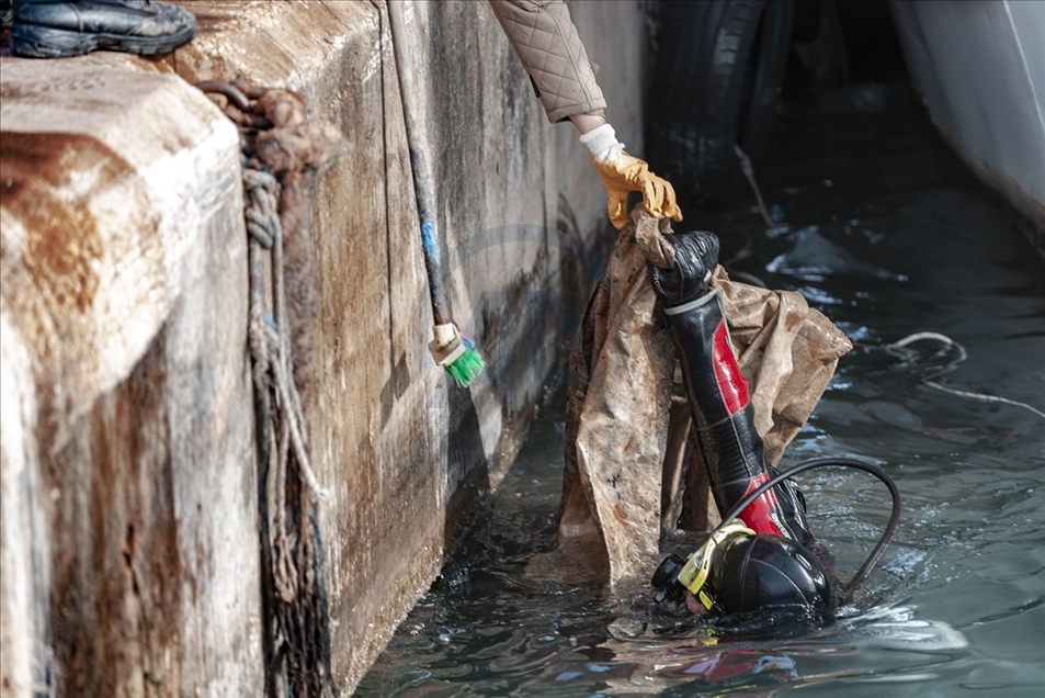 Mersin'de deniz dibi temizliği sırasında telef olmuş köpek balığı yavrusu bulundu