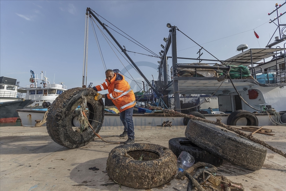 Mersin'de deniz dibi temizliği sırasında telef olmuş köpek balığı yavrusu bulundu