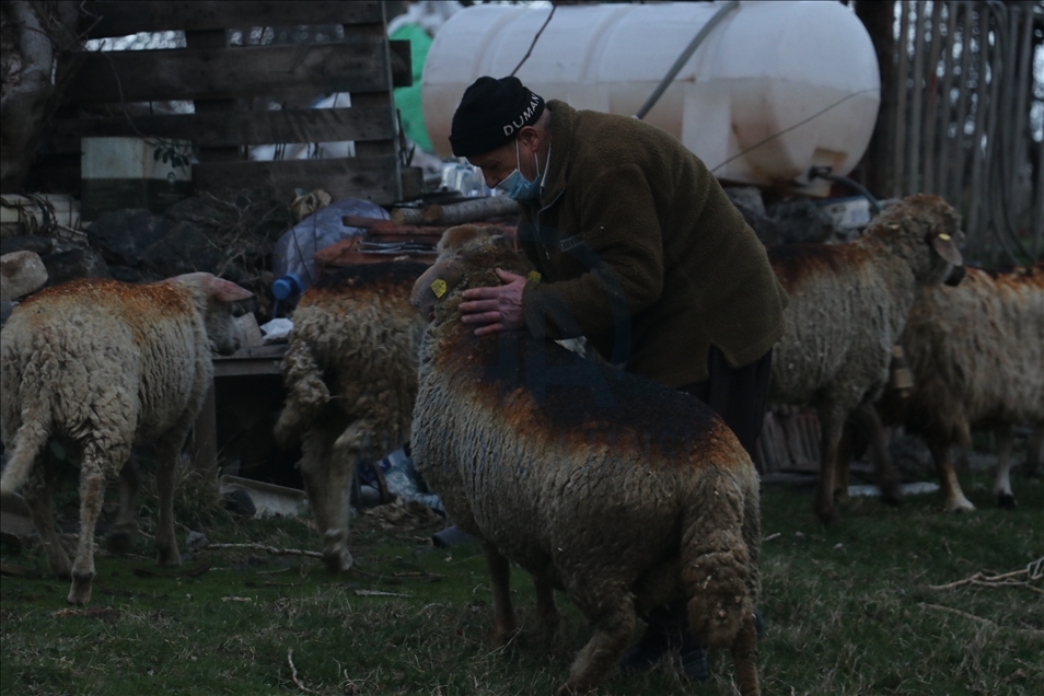 Kastamonu'da ormanlık alan ve mahallede etkili olan yangına müdahale ediliyor
