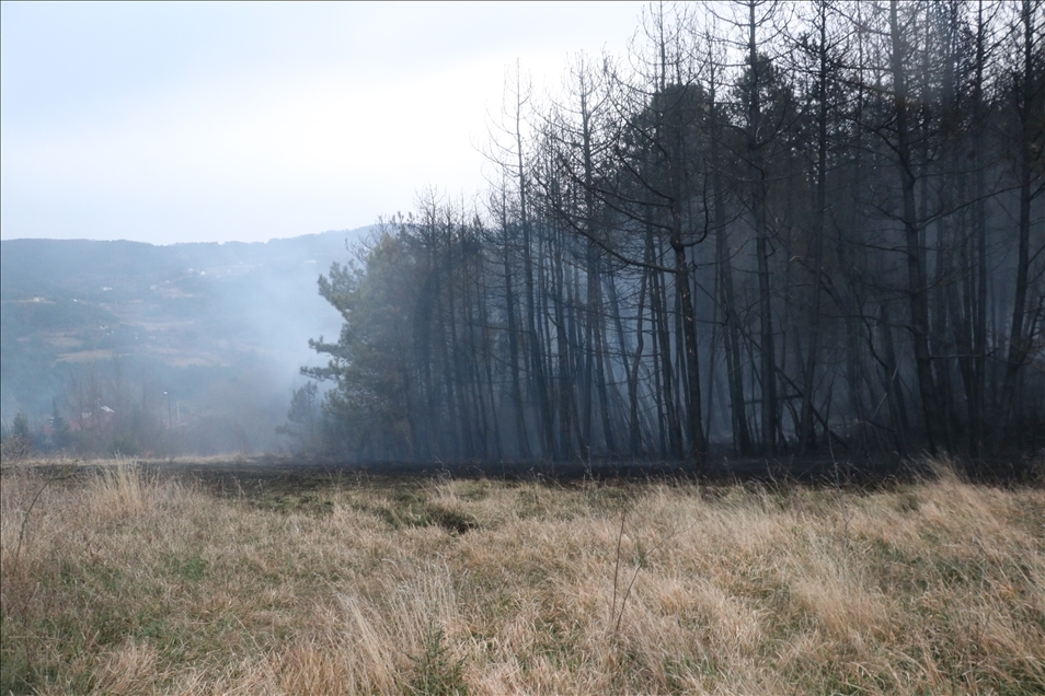Kastamonu'da ormanlık alan ve mahallede etkili olan yangına müdahale ediliyor