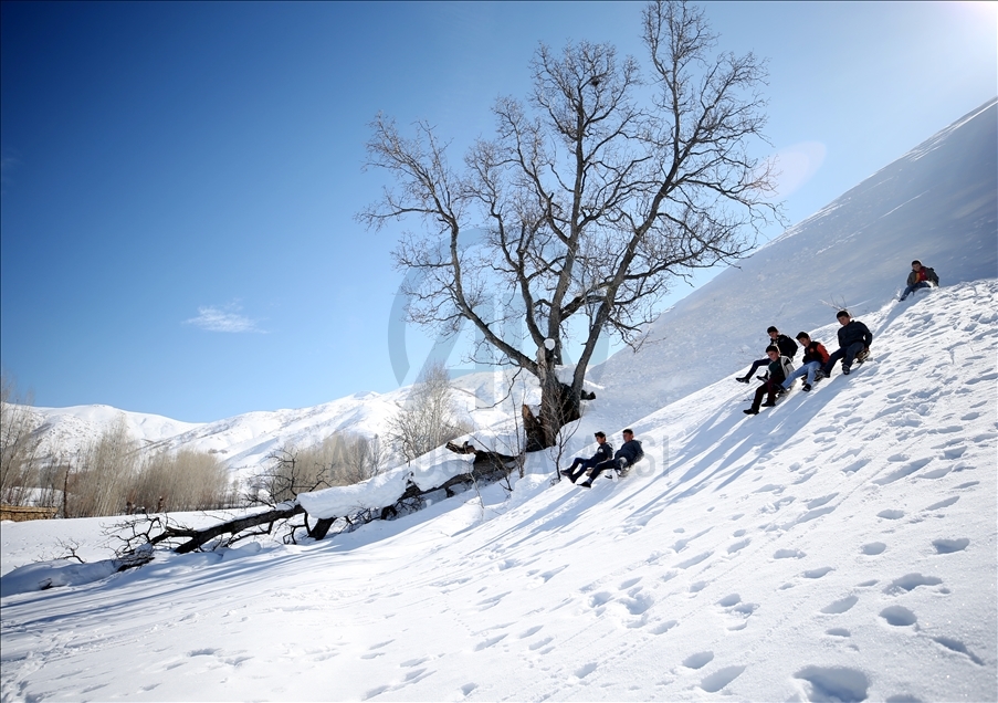 Bitlis'te çocukların kızak keyfi