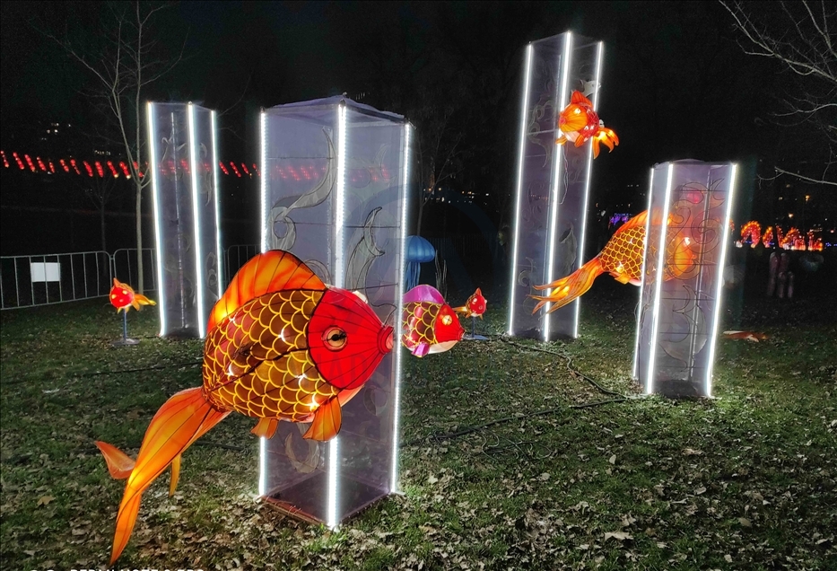 Novi Sad: Kineski festival svetla u znak zahvalnosti za podršku tokom pandemije