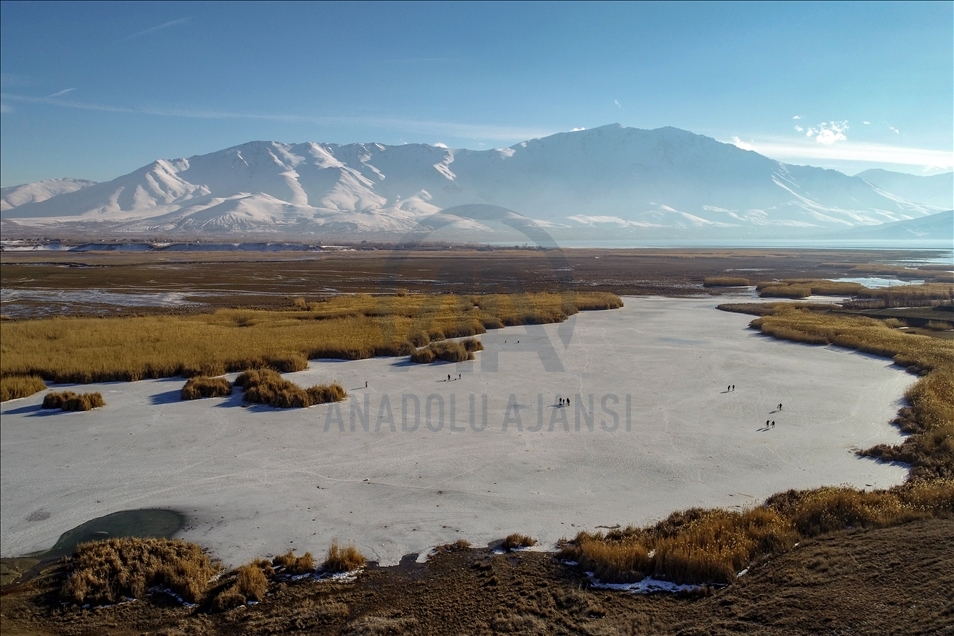 Li Wanê dehlên qerisî bûn pêgeha masîgir û wênegiran