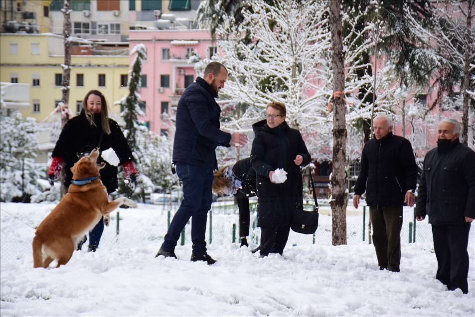 Shqipëria përfshihet nga reshjet e borës, atmosferë e veçantë në Tiranë