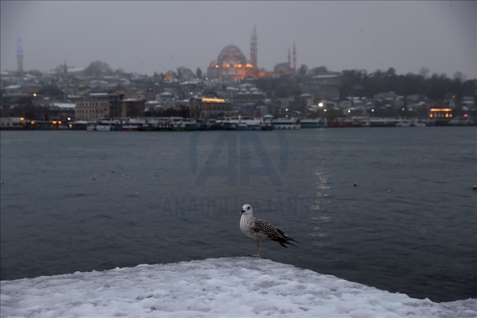 Стамбул накрыл сильный снегопад
