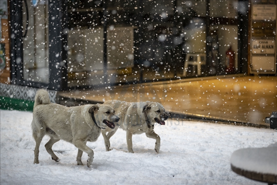 Snowfall in Istanbul