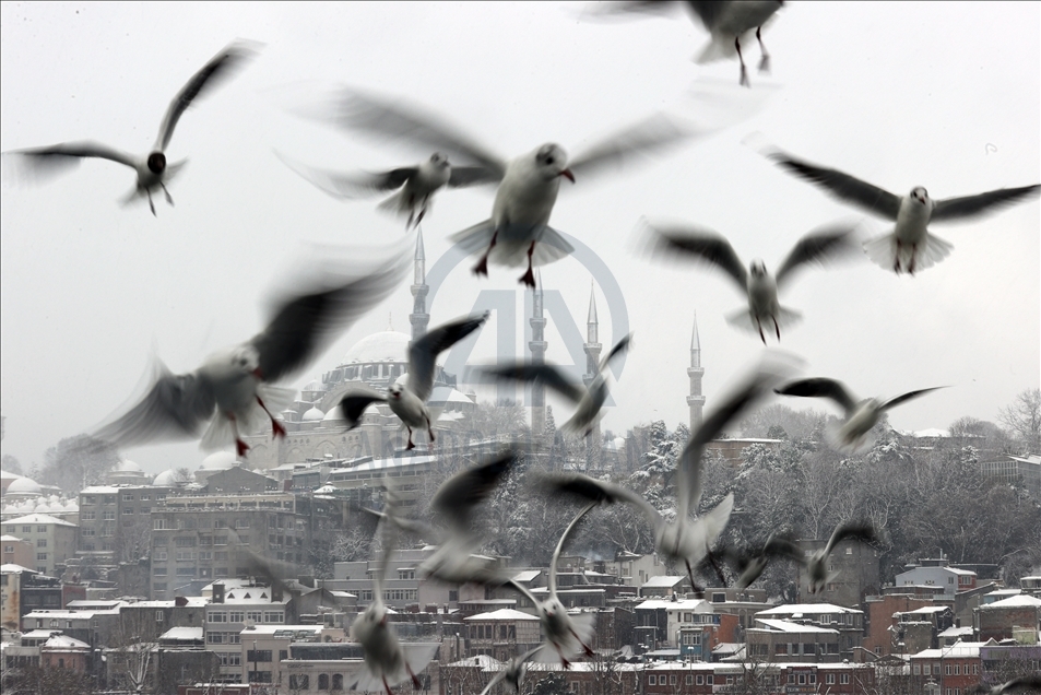 Snowfall in Istanbul