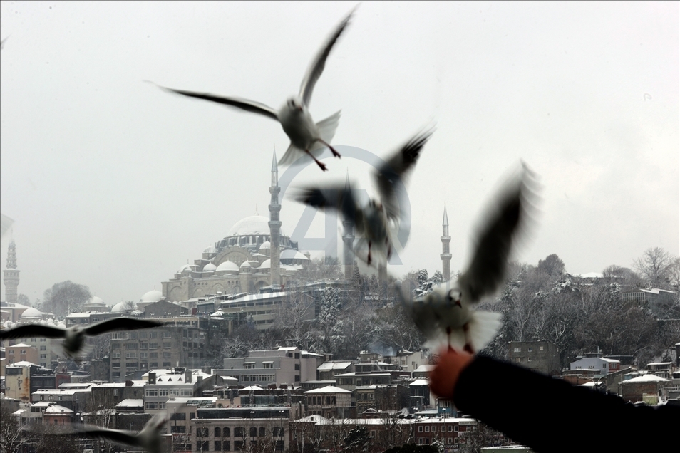 Snowfall in Istanbul
